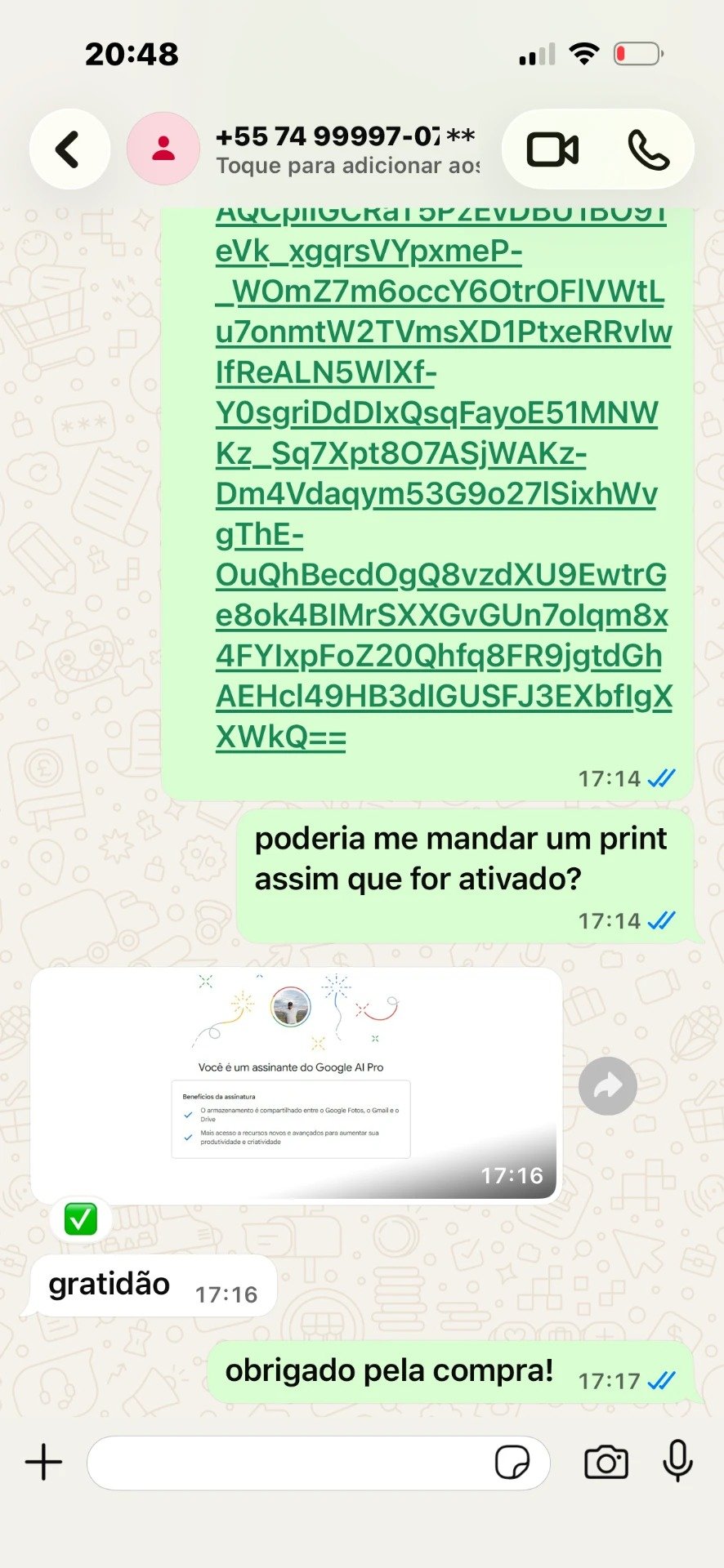 Print de conversa no WhatsApp confirmando a ativação do Google AI Pro 6