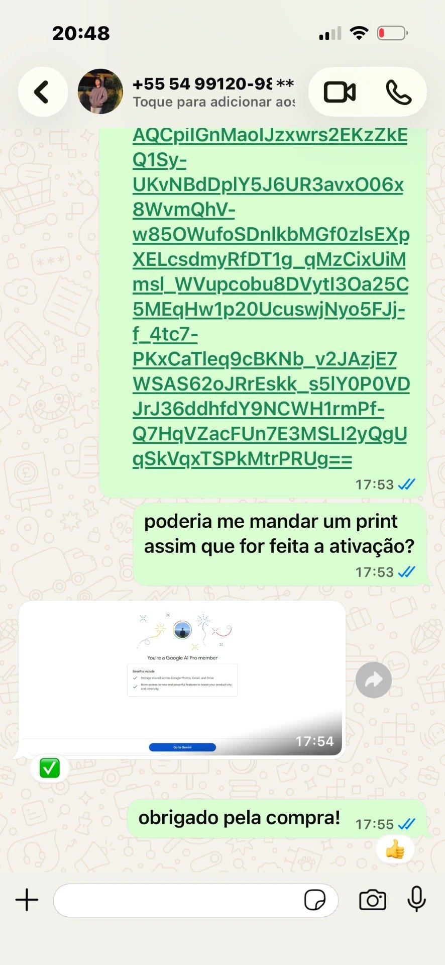 Print de conversa no WhatsApp confirmando a ativação do Google AI Pro 5